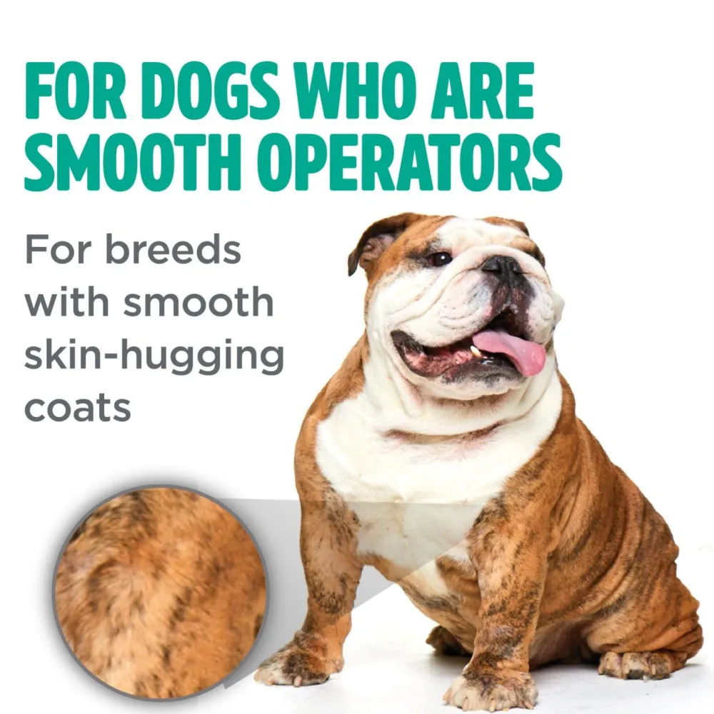 Hot Perfect Fur Smooth Coat Dog Shampoo Supplies Leashes, Collars, Beds, Flea & Tick, Etc.