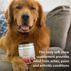 Sale Veterinary Formula Clinical Care Hip and Joint Supplement Supplies Leashes, Collars, Beds, Flea & Tick, Etc.
