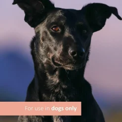 New Veterinary Formula Clinical Care Skin & Coat Itch Relief Supplement Supplies Leashes, Collars, Beds, Flea & Tick, Etc.