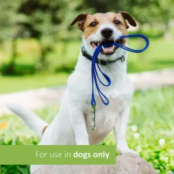 New Veterinary Formula Clinical Care Super Probiotic Supplement Supplies Leashes, Collars, Beds, Flea & Tick, Etc.