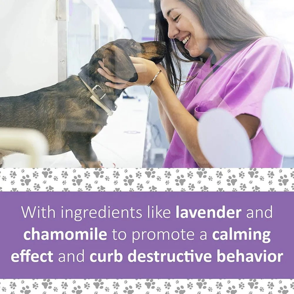 New Veterinary Formula Clinical Care Pet Calm Supplement Supplies Leashes, Collars, Beds, Flea & Tick, Etc.