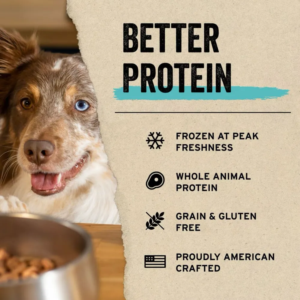 Hot Freeze Dried Treat Duck Bites Treats Treats & Chews