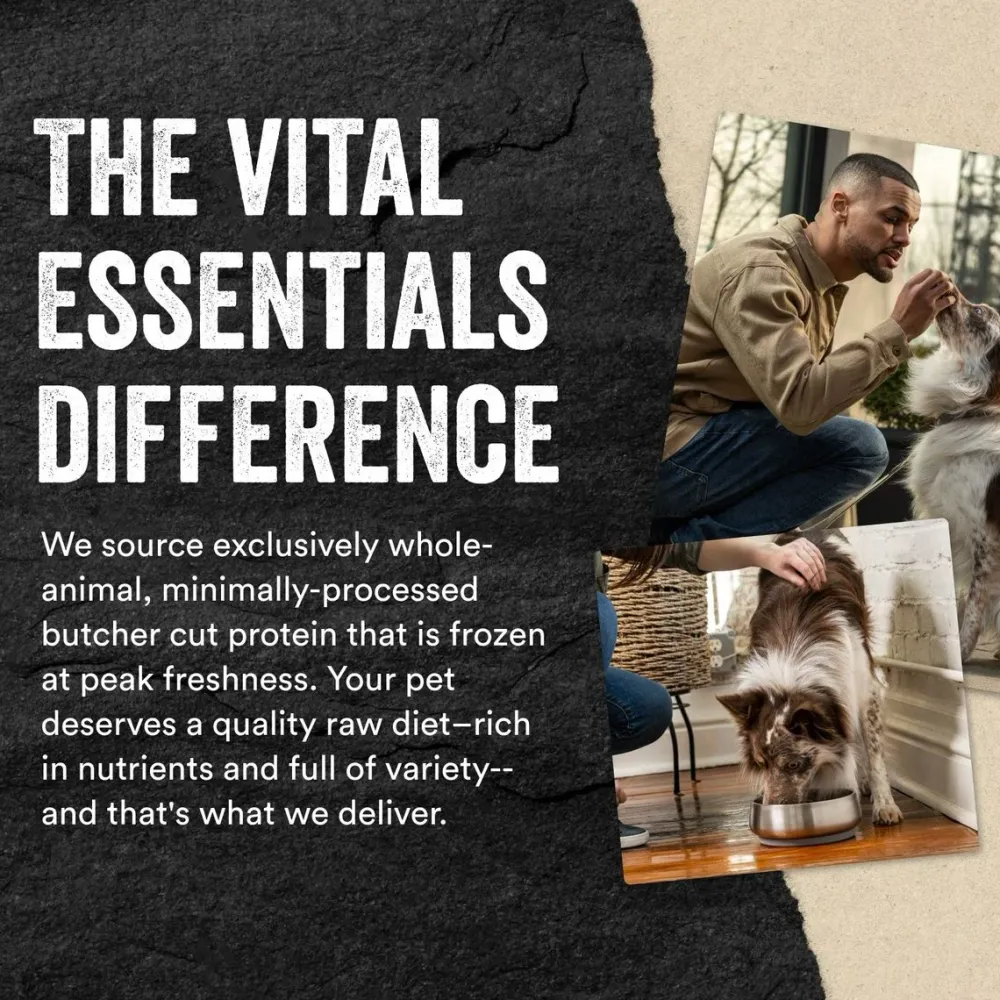 Fashion Freeze Dried Raw Chicken Mini Nibs Food Dry, Wet, Freeze Dried, Etc.