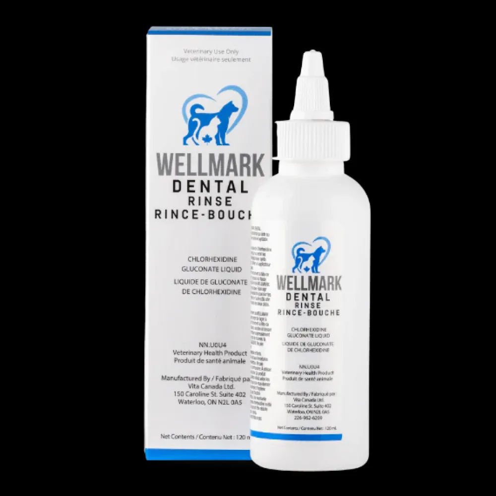 Discount Dental Rinse Supplies Leashes, Collars, Beds, Flea & Tick, Etc.