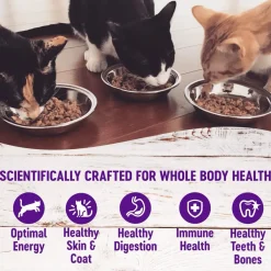 Online Complete Health Chicken & Herring Formula Grain-Free Canned Cat Food Wet Food Cans, Pouches, Tetra Paks, Etc.