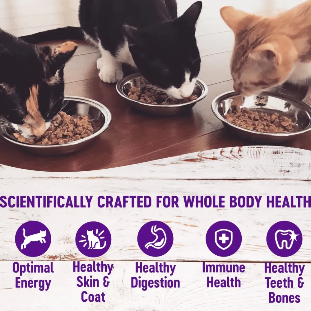 Best Complete Health Pate Chicken Entree Grain-Free Canned Cat Food Wet Food Cans, Pouches, Tetra Paks, Etc.