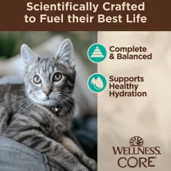New CORE Tiny Tasters Flaked Tuna & Salmon in Sauce Wet Cat Food Wet Food Cans, Pouches, Tetra Paks, Etc.