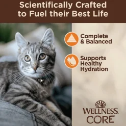 Hot CORE Tiny Tasters Minced Chicken in Gravy Wet Cat Food Wet Food Cans, Pouches, Tetra Paks, Etc.