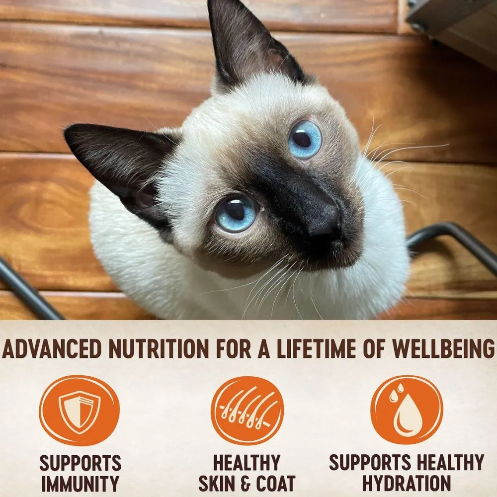Clearance CORE Tiny Tasters Tuna & Salmon Wet Cat Food Wet Food Cans, Pouches, Tetra Paks, Etc.
