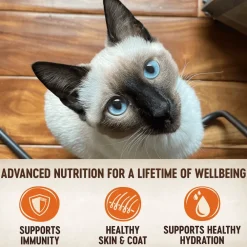 Best CORE Tiny Tasters Chicken Wet Cat Food Wet Food Cans, Pouches, Tetra Paks, Etc.