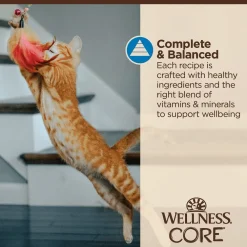 Clearance CORE Tiny Tasters Flaked Tuna & Shrimp in Sauce Wet Cat Food Wet Food Cans, Pouches, Tetra Paks, Etc.