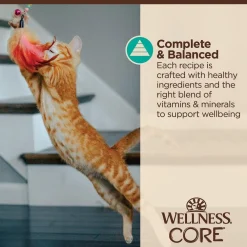 New CORE Tiny Tasters Flaked Tuna & Salmon in Sauce Wet Cat Food Wet Food Cans, Pouches, Tetra Paks, Etc.