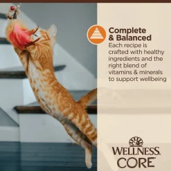 Hot CORE Tiny Tasters Minced Chicken in Gravy Wet Cat Food Wet Food Cans, Pouches, Tetra Paks, Etc.