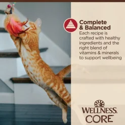 New CORE Tiny Tasters Minced Chicken & Beef in Gravy Wet Cat Food Wet Food Cans, Pouches, Tetra Paks, Etc.