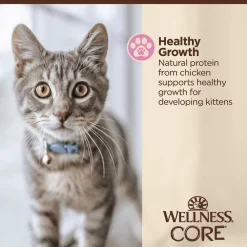 Sale CORE Tiny Tasters Kitten Minced Chicken in Gravy Wet Cat Food Wet Food Cans, Pouches, Tetra Paks, Etc.