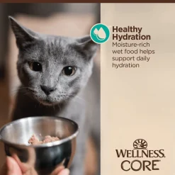New CORE Tiny Tasters Flaked Tuna & Salmon in Sauce Wet Cat Food Wet Food Cans, Pouches, Tetra Paks, Etc.