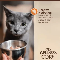Hot CORE Tiny Tasters Minced Chicken in Gravy Wet Cat Food Wet Food Cans, Pouches, Tetra Paks, Etc.