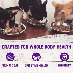 Outlet Healthy Indulgence Gravies Chicken & Turkey Wet Cat Food Wet Food Cans, Pouches, Tetra Paks, Etc.
