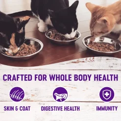 New Healthy Indulgence Morsels Chicken & Chicken Liver Wet Cat Food Wet Food Cans, Pouches, Tetra Paks, Etc.