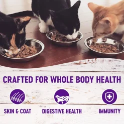 Clearance Healthy Indulgence Morsels Chicken & Turkey Wet Cat Food Wet Food Cans, Pouches, Tetra Paks, Etc.