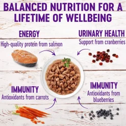 New Healthy Indulgence Morsels Salmon & Tuna Wet Cat Food Wet Food Cans, Pouches, Tetra Paks, Etc.