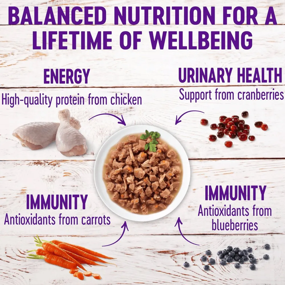 New Healthy Indulgence Morsels Chicken & Chicken Liver Wet Cat Food Wet Food Cans, Pouches, Tetra Paks, Etc.