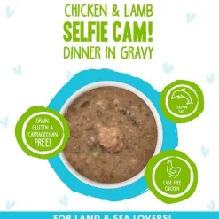 Best Wet Cat Food BFF Omg Selfie Cam! Chicken & Lamb Dinner in Gravy Wet Food Cans, Pouches, Tetra Paks, Etc.