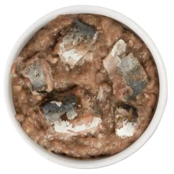 Discount Wet Cat Food Kitty Gone Wild Salmon, Tuna, Sardine & Mackerel Pate with Shreds Wet Food Cans, Pouches, Tetra Paks, Etc.