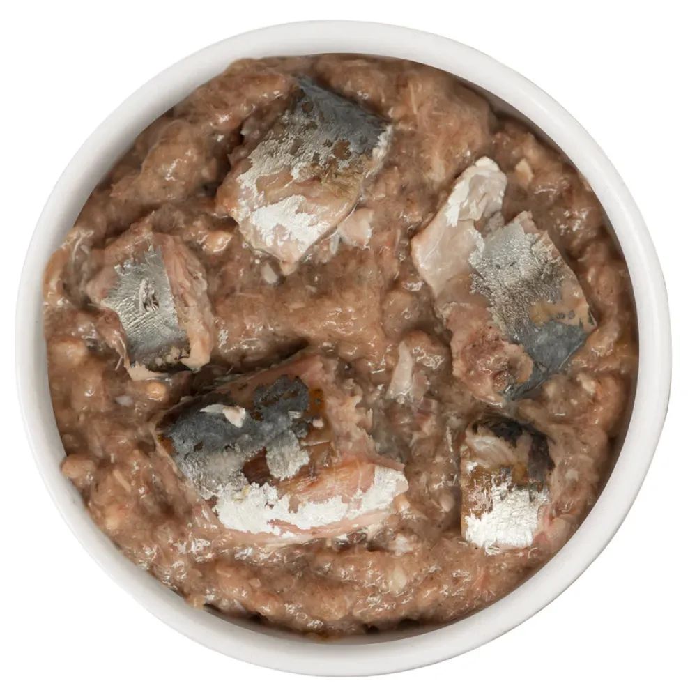 Discount Wet Cat Food Kitty Gone Wild Salmon, Tuna, Sardine & Mackerel Pate with Shreds Wet Food Cans, Pouches, Tetra Paks, Etc.