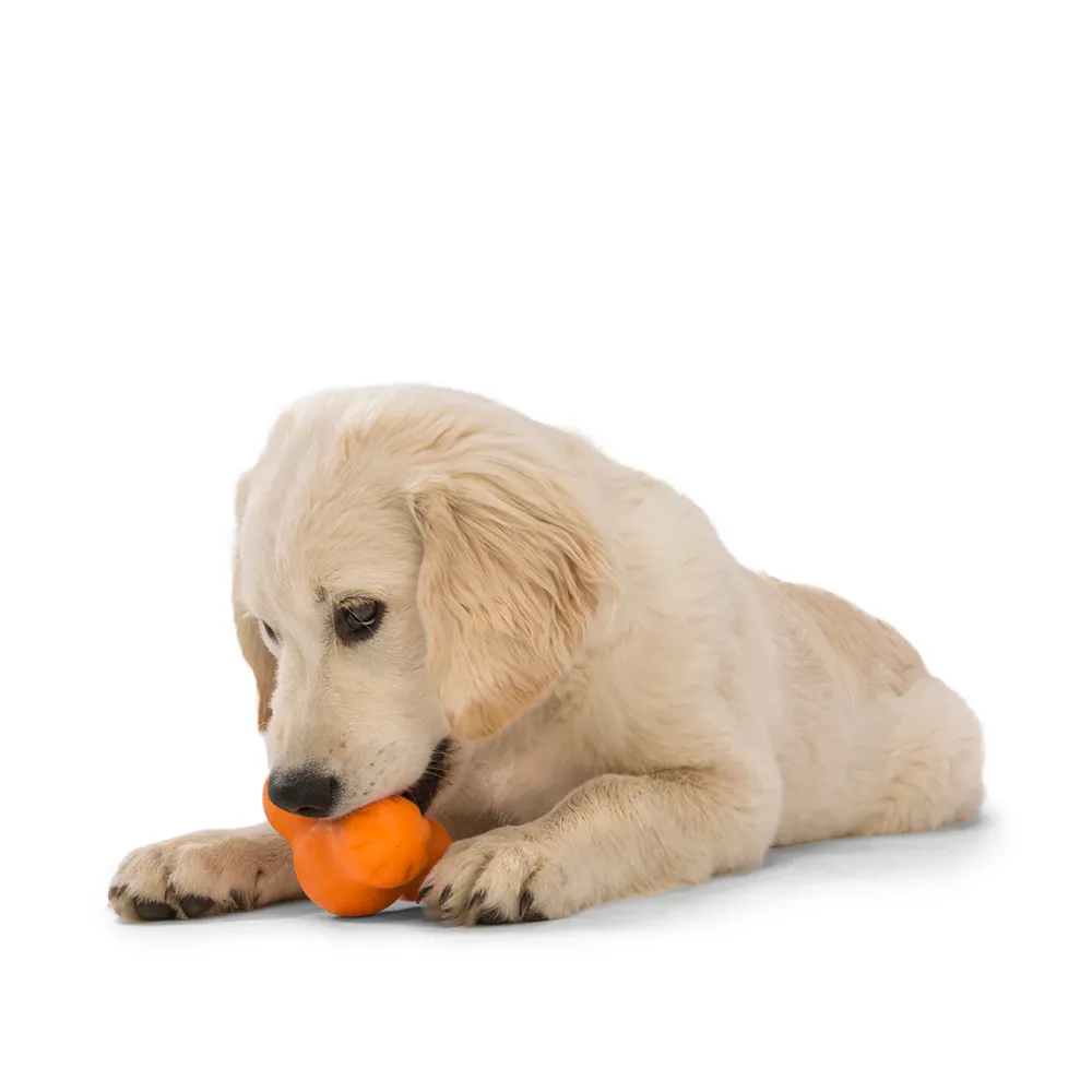 Sale West Paw Zogoflex Chew Tux Tangerine Supplies Leashes, Collars, Beds, Flea & Tick, Etc. | Toys Interactive, Plush, Etc.