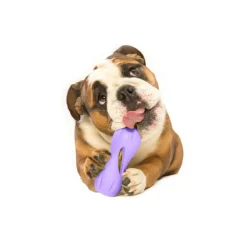 Clearance West Paw Zogoflex Qwizi Lavender - Limited Edition Supplies Leashes, Collars, Beds, Flea & Tick, Etc. | Toys Interactive, Plush, Etc.