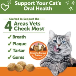 Best Cat Dental Treats Chicken Treats Crunchy, Soft, Lickable, Etc.