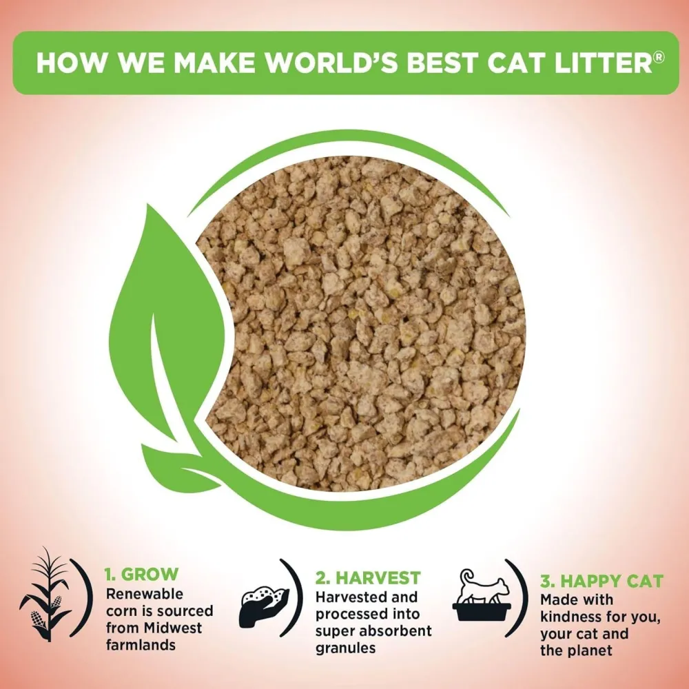Discount Worlds Best Multiple Cat Litter Supplies Collars, Scratchers, Toys, Etc.