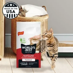 Discount Worlds Best Multiple Cat Litter Supplies Collars, Scratchers, Toys, Etc.