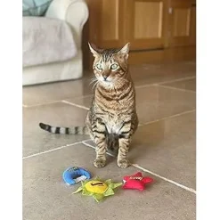 Online Yeowww Sun, Moon & Stars 3 pack Supplies Collars, Scratchers, Toys, Etc.