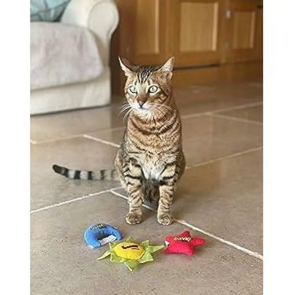 Online Yeowww Sun, Moon & Stars 3 pack Supplies Collars, Scratchers, Toys, Etc.