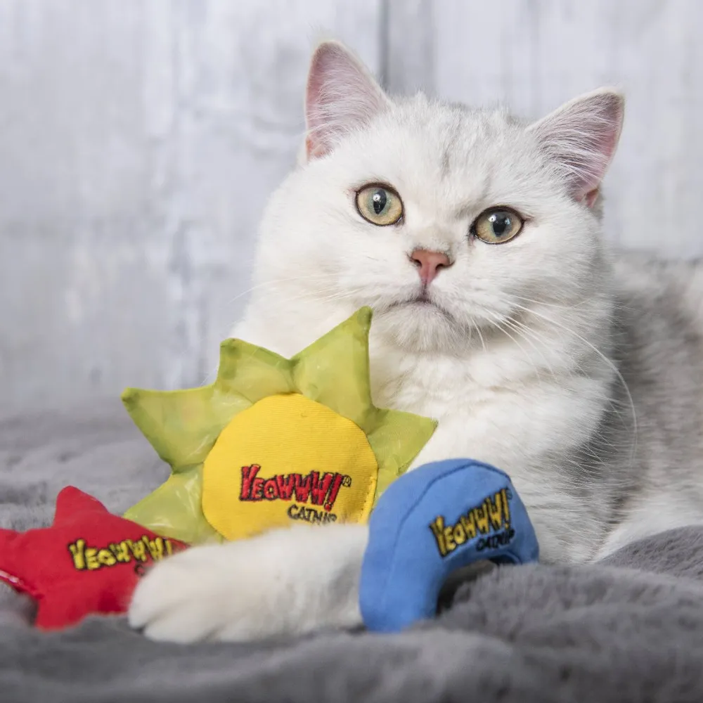 Online Yeowww Sun, Moon & Stars 3 pack Supplies Collars, Scratchers, Toys, Etc.