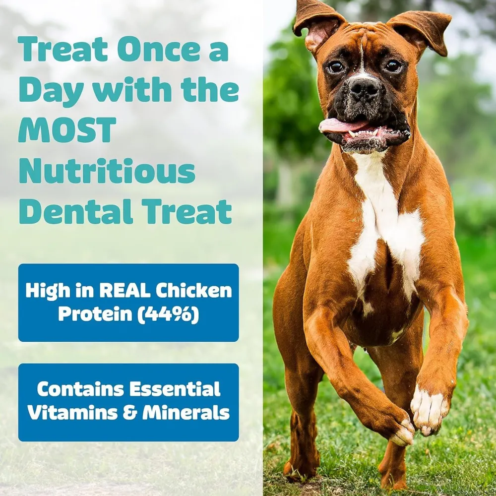 Discount Vet Approved Dental Chicken Dog Treats Treats Treats & Chews