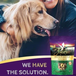 Hot Duck Formula Biscuit Treats for Dogs Treats Treats & Chews