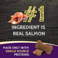 Fashion Salmon Formula Biscuit Treats for Dogs Treats Treats & Chews