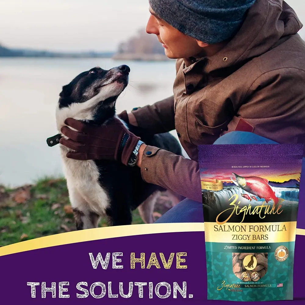 Fashion Salmon Formula Biscuit Treats for Dogs Treats Treats & Chews