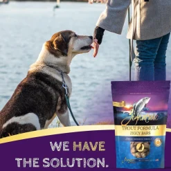 Outlet Trout Formula Biscuit Treats for Dogs Treats Treats & Chews
